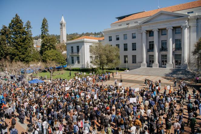 Liberté Académique Menacée : L’Université sous Tension