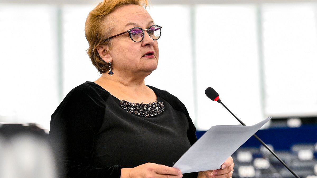 La Commission Européenne Utilise ses ONG pour Promouvoir l’Intégration Européenne