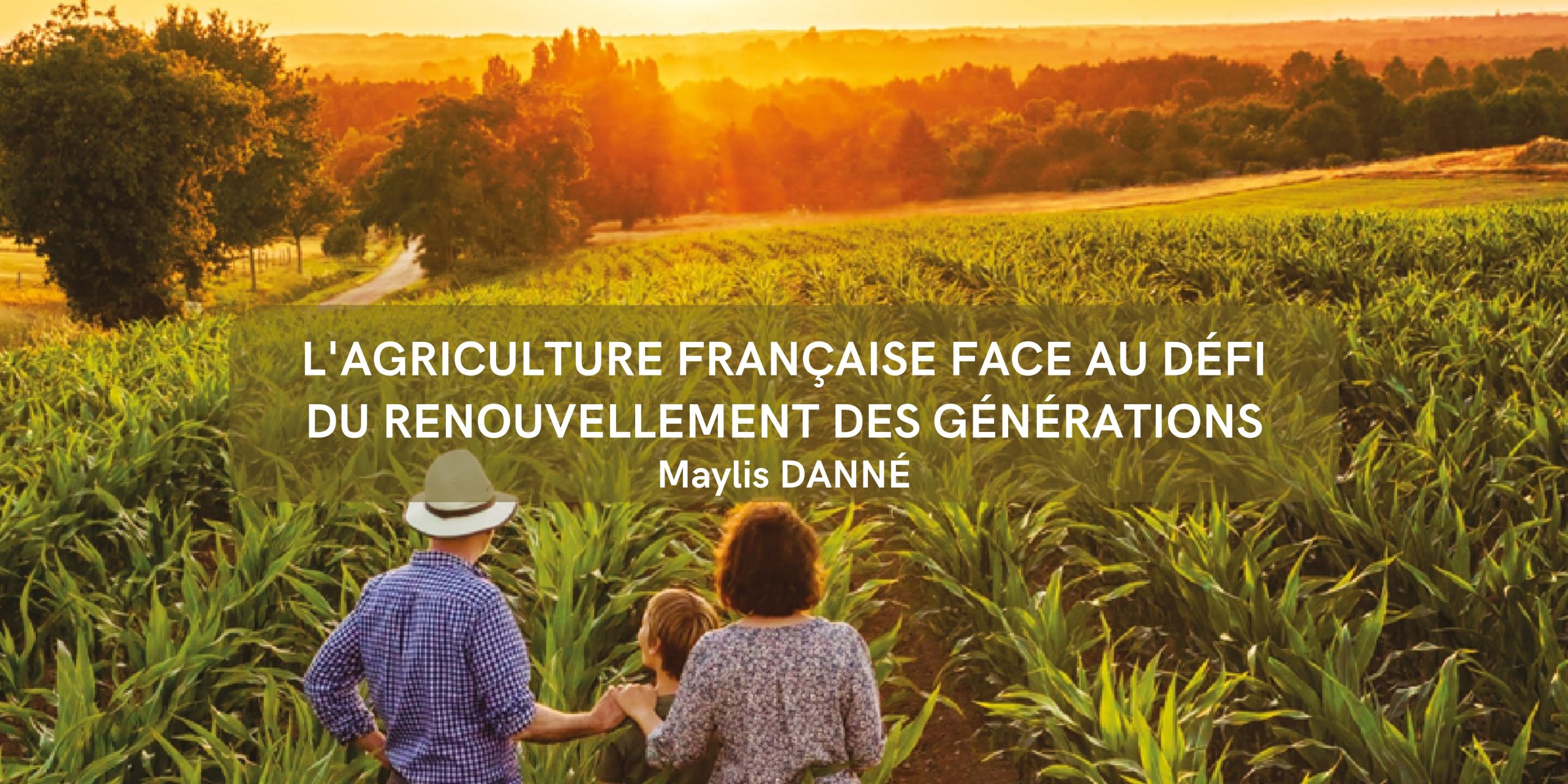 2024 : Une année de désastre pour l’agriculture française
